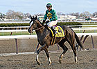 Honor Code: A.P. Indy's Last Derby Hope