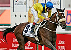 De Kock's Honour Devil Best in UAE Derby
