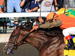World Traveler Hoofit Tries BC Turf Sprint World Traveler Hoofit Tries BC Turf Sprint