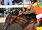 World Traveler Hoofit Tries BC Turf Sprint World Traveler Hoofit Tries BC Turf Sprint