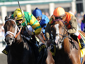NZ-Bred Hoofit Edges Aikenite to Win Phoenix NZ-Bred Hoofit Edges Aikenite to Win Phoenix