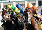 NZ-Bred Hoofit Edges Aikenite to Win Phoenix NZ-Bred Hoofit Edges Aikenite to Win Phoenix