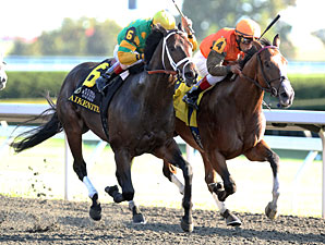 World Traveler, Grade III Winner Hoofit Dies World Traveler, Grade III Winner Hoofit Dies