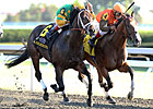World Traveler, Grade III Winner Hoofit Dies World Traveler, Grade III Winner Hoofit Dies