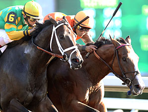 Wide-Open Phoenix Offers Breeders' Cup Shot Wide-Open Phoenix Offers Breeders' Cup Shot