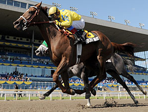 Ashland Winner Hooh Why Attempts Iowa Oaks Ashland Winner Hooh Why Attempts Iowa Oaks