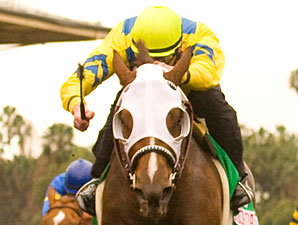 Ashland-Bound Fillies Prepare for Battle Ashland-Bound Fillies Prepare for Battle