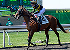 Ward Sends Talented Duo to Juvenile Turf Ward Sends Talented Duo to Juvenile Turf