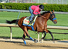 Hoppertunity Gets Churchill Chance in Clark Hoppertunity Gets Churchill Chance in Clark