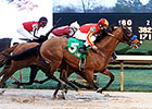 Steve Haskin's Derby Dozen 3/17/2014 Steve Haskin's Derby Dozen 3/17/2014