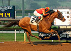 Hoppertunity Continues Rise in San Pasqual Hoppertunity Continues Rise in San Pasqual