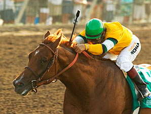 Horse Greeley to Stand at Claiborne Horse Greeley to Stand at Claiborne
