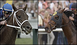 Ghostzapper or Smarty Jones...Who is Horse of the Year? Ghostzapper or Smarty Jones...Who is Horse of the Year?