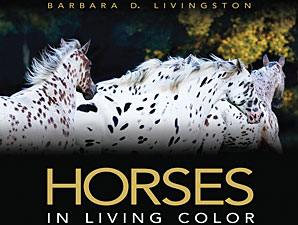 Livingston Book Wins Prestigious Award Livingston Book Wins Prestigious Award