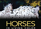 Livingston Book Wins Prestigious Award Livingston Book Wins Prestigious Award