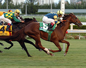 Host Rolls On in Canadian Turf Win Host Rolls On in Canadian Turf Win