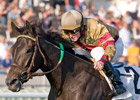 Hot Cha Cha Rallies to Win Pucker Up