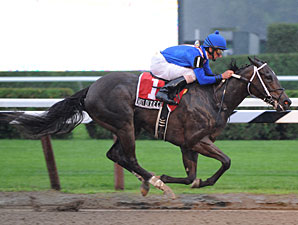 Hot Dixie Chick Romps in Schuylerville Hot Dixie Chick Romps in Schuylerville
