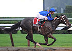 Hot Dixie Chick Romps in Schuylerville