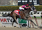 Hot Summer Uses Rail to Take Comely