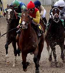 Kentucky Derby Trail: Gung Ho Kentucky Derby Trail: Gung Ho