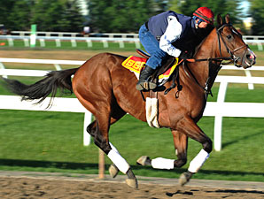 Hotep the One to Beat in Queen's Plate Hotep the One to Beat in Queen's Plate