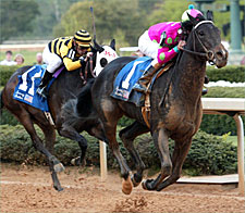 House of Fortune Claims Fantasy Stakes House of Fortune Claims Fantasy Stakes