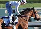 Full Field in Juvenile Fillies Turf Full Field in Juvenile Fillies Turf