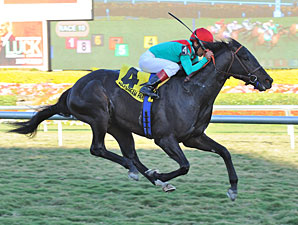 Howe Great Caps Big Week for Connections Howe Great Caps Big Week for Connections