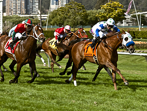 Hudson Landing Upsets Jeranimo in SF Mile Hudson Landing Upsets Jeranimo in SF Mile