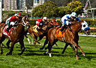 Hudson Landing Upsets Jeranimo in SF Mile Hudson Landing Upsets Jeranimo in SF Mile