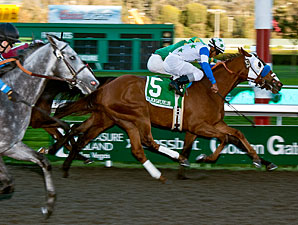 Veteran Runners to Line Up for All American Veteran Runners to Line Up for All American