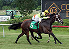 Hudson Steele Could Shine in Oceanport Stakes Hudson Steele Could Shine in Oceanport Stakes