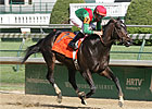 Kentucky Horseman Robert Clinkinbeard Dies Kentucky Horseman Robert Clinkinbeard Dies