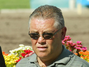 Grateful Ascanio Moves On Without Frankel Grateful Ascanio Moves On Without Frankel