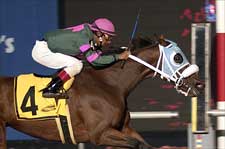 Humoristic Gets Last Laugh in Rough Violet Run Humoristic Gets Last Laugh in Rough Violet Run