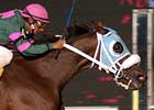 Humoristic Gets Last Laugh in Rough Violet Run
