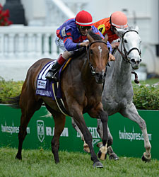 Hungry Island Rallies for Distaff Turf Win Hungry Island Rallies for Distaff Turf Win