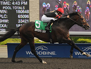 Hunters Bay Impresses in Stakes Debut Hunters Bay Impresses in Stakes Debut