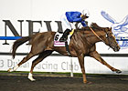 Hunter's Light Clear Maktoum Challenge Winner Hunter's Light Clear Maktoum Challenge Winner