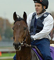 Hurricane Run Sires First Winner Hurricane Run Sires First Winner