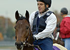 Hurricane Run Sires First Winner Hurricane Run Sires First Winner