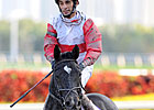 Oaklawn Handicap Among Options for Hymn Book