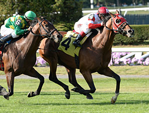 Hyper Extended in Narrow Bowling Green Tally Hyper Extended in Narrow Bowling Green Tally