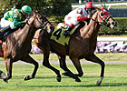 Hyper Extended in Narrow Bowling Green Tally Hyper Extended in Narrow Bowling Green Tally