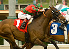 Oak Tree Mile Right Spot for Hyperbaric