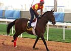 Hyperbaric, Kip Deville Ready for Race