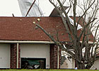 Report: Horse's Shoe Caused Fatal Explosion Report: Horse's Shoe Caused Fatal Explosion