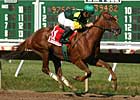 Hystericalady Among Keeneland Prospects