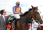 Pretty Polly Interview - Aidan O'Brien